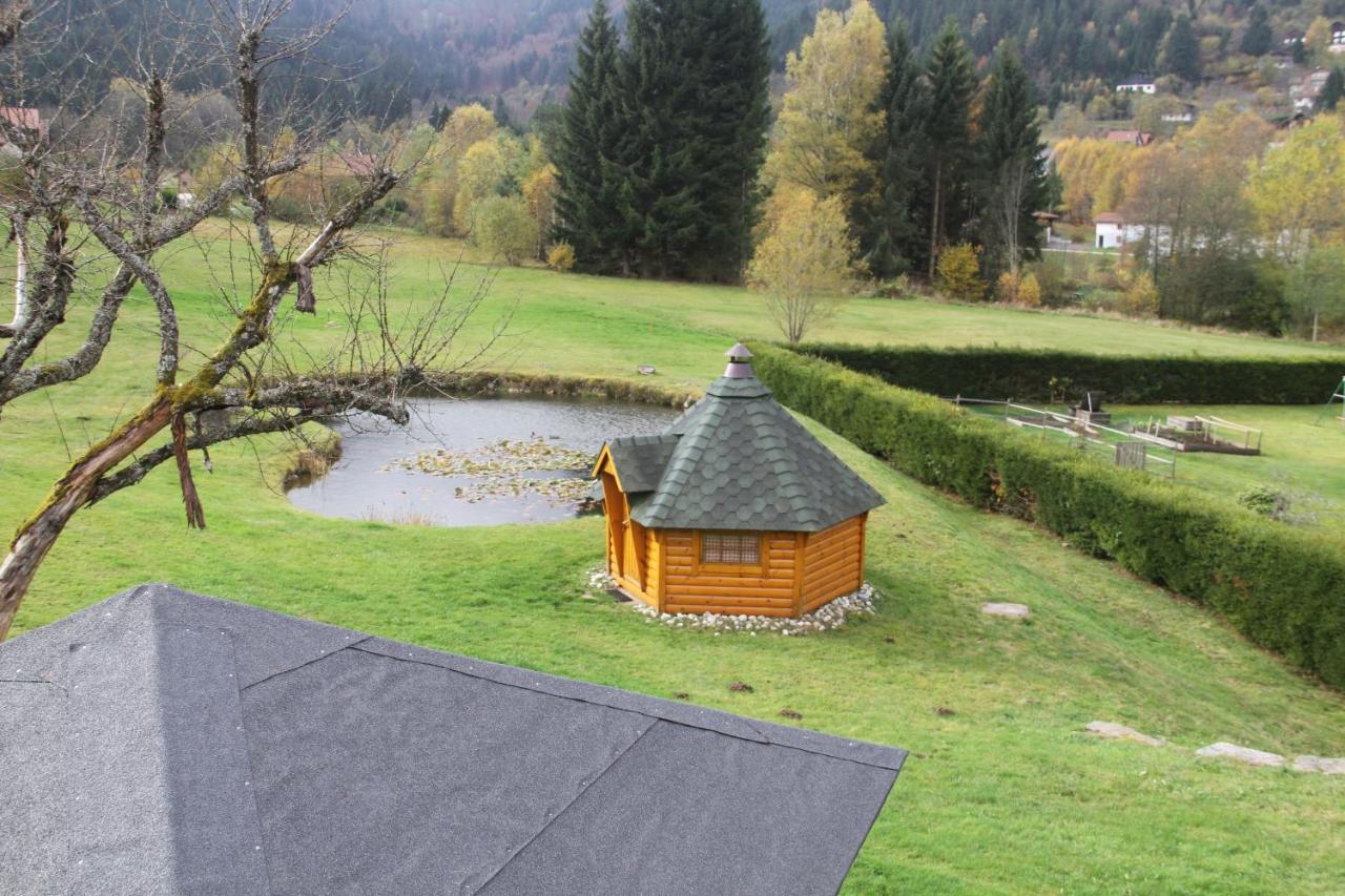 Chalet Centauree - Remy Herold Xonrupt-Longemer Zewnętrze zdjęcie