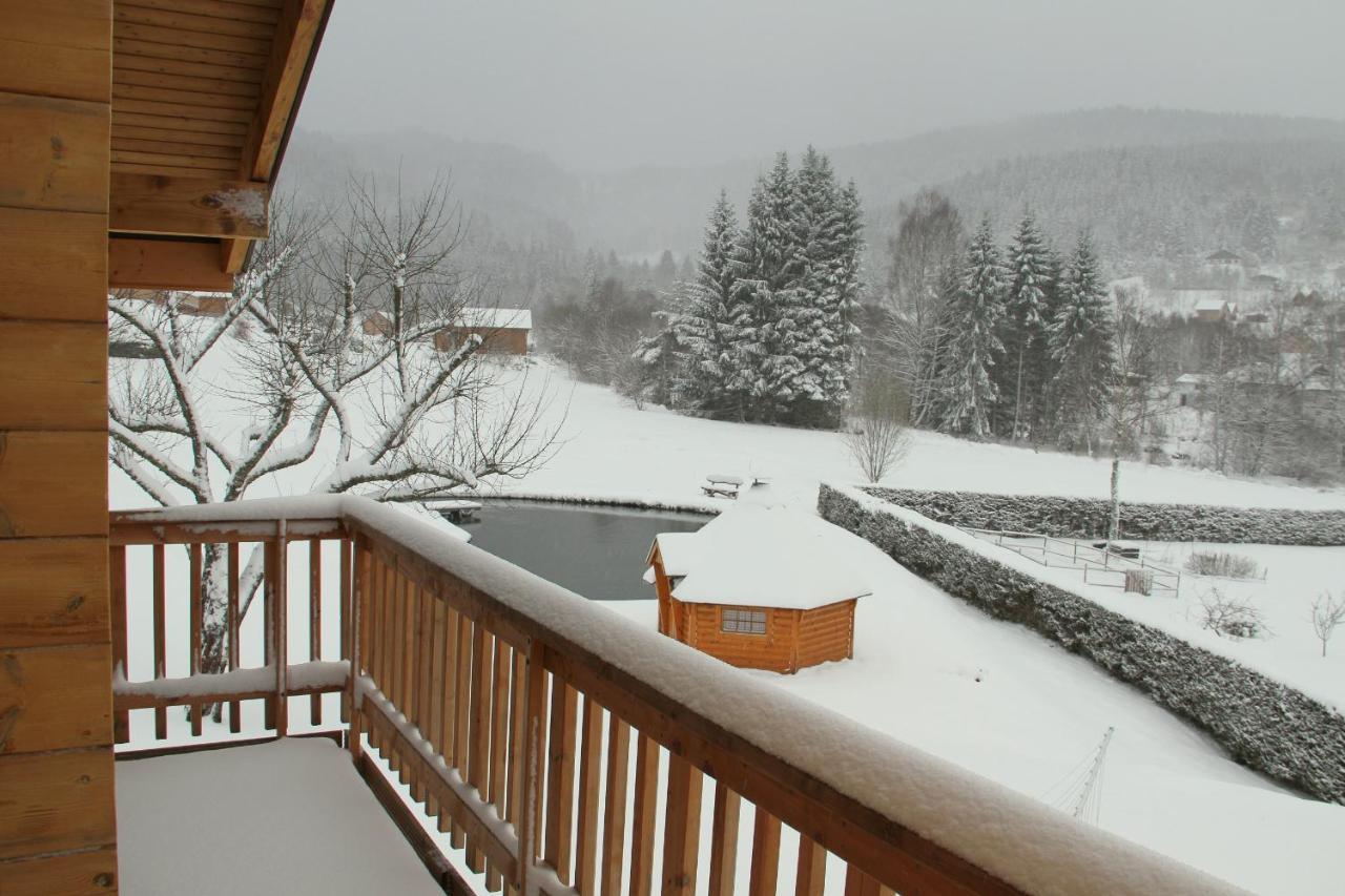 Chalet Centauree - Remy Herold Xonrupt-Longemer Zewnętrze zdjęcie