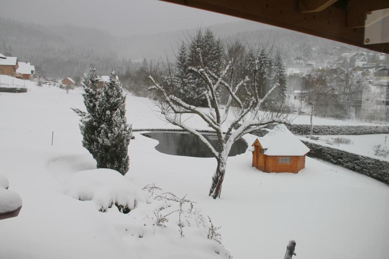Chalet Centauree - Remy Herold Xonrupt-Longemer Zewnętrze zdjęcie