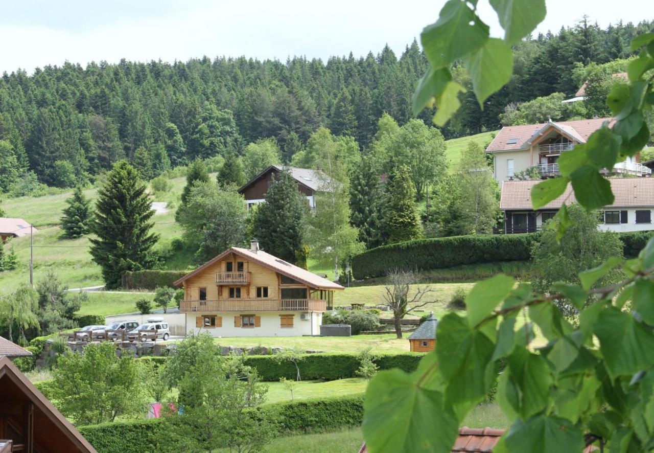 Chalet Centauree - Remy Herold Xonrupt-Longemer Zewnętrze zdjęcie